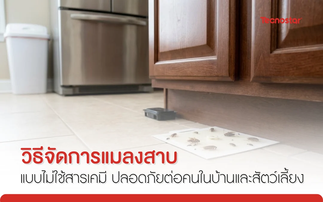 วิธีจัดการแมลงสาบ